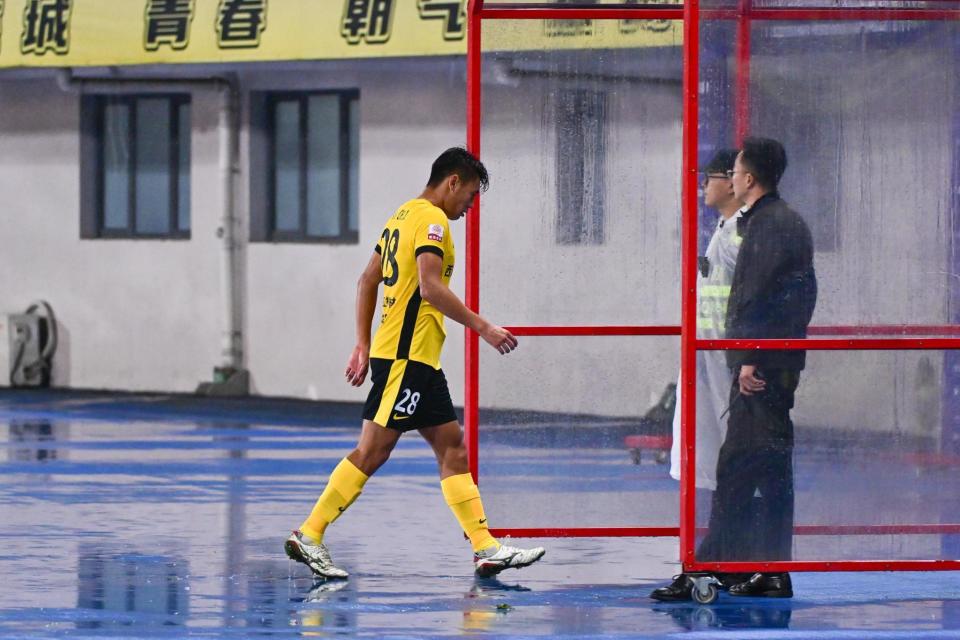 net, 与行业良好